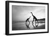 Tropical Shadows-50-Moises Levy-Framed Premium Giclee Print