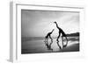 Tropical Shadows-50-Moises Levy-Framed Premium Giclee Print