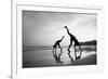 Tropical Shadows-50-Moises Levy-Framed Giclee Print