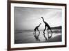 Tropical Shadows-50-Moises Levy-Framed Giclee Print