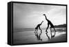 Tropical Shadows-50-Moises Levy-Framed Stretched Canvas