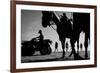 Tropical Shadows-5-Moises Levy-Framed Giclee Print