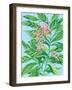 Tropical Shell Ginger II-Laura Marr-Framed Art Print