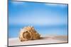 Tropical Shell on White Florida Beach Sand under Sun Light, Shallow Dof-lenka-Mounted Photographic Print