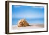 Tropical Shell on White Florida Beach Sand under Sun Light, Shallow Dof-lenka-Framed Photographic Print