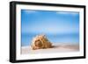 Tropical Shell on White Florida Beach Sand under Sun Light, Shallow Dof-lenka-Framed Photographic Print