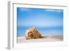 Tropical Shell on White Florida Beach Sand under Sun Light, Shallow Dof-lenka-Framed Photographic Print