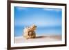 Tropical Shell on White Florida Beach Sand under Sun Light, Shallow Dof-lenka-Framed Photographic Print