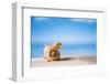 Tropical Shell on White Florida Beach Sand under Sun Light, Shallow Dof-lenka-Framed Photographic Print