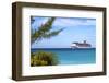 Tropical Ship-gvictoria-Framed Photographic Print