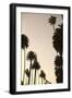 Tropical Silhouette I-Karyn Millet-Framed Photographic Print