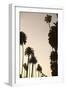 Tropical Silhouette I-Karyn Millet-Framed Photographic Print