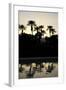 Tropical Silhouette II-Karyn Millet-Framed Photographic Print