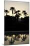Tropical Silhouette II-Karyn Millet-Mounted Photographic Print