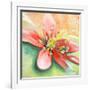 Tropical Splendor I-Patricia Pinto-Framed Art Print