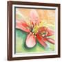 Tropical Splendor I-Patricia Pinto-Framed Art Print