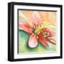 Tropical Splendor I-Patricia Pinto-Framed Art Print