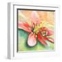 Tropical Splendor I-Patricia Pinto-Framed Art Print