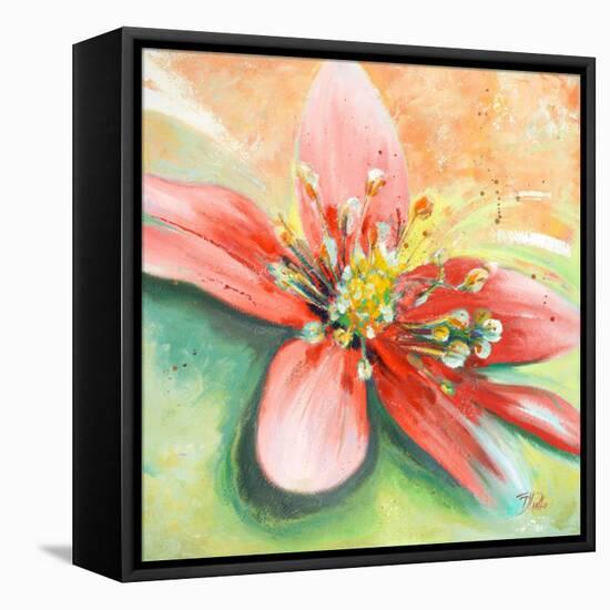 Tropical Splendor I-Patricia Pinto-Framed Stretched Canvas