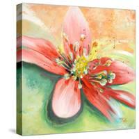 Tropical Splendor I-Patricia Pinto-Stretched Canvas