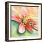 Tropical Splendor I-Patricia Pinto-Framed Art Print