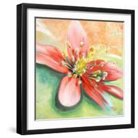 Tropical Splendor I-Patricia Pinto-Framed Art Print