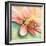 Tropical Splendor I-Patricia Pinto-Framed Art Print