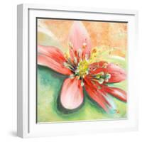 Tropical Splendor I-Patricia Pinto-Framed Art Print