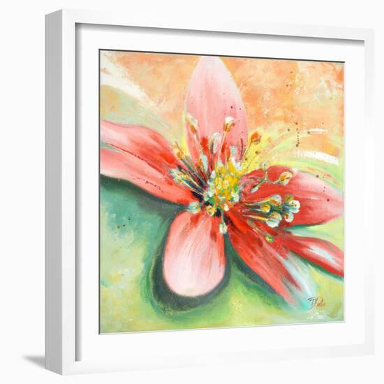 Tropical Splendor I-Patricia Pinto-Framed Art Print