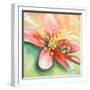 Tropical Splendor I-Patricia Pinto-Framed Art Print