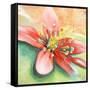 Tropical Splendor I-Patricia Pinto-Framed Stretched Canvas