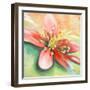 Tropical Splendor I-Patricia Pinto-Framed Premium Giclee Print