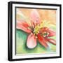 Tropical Splendor I-Patricia Pinto-Framed Premium Giclee Print