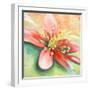 Tropical Splendor I-Patricia Pinto-Framed Premium Giclee Print