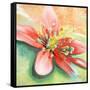 Tropical Splendor I-Patricia Pinto-Framed Stretched Canvas