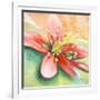 Tropical Splendor I-Patricia Pinto-Framed Art Print