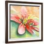 Tropical Splendor I-Patricia Pinto-Framed Art Print