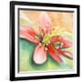 Tropical Splendor I-Patricia Pinto-Framed Art Print