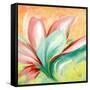 Tropical Splendor II-Patricia Pinto-Framed Stretched Canvas