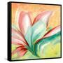 Tropical Splendor II-Patricia Pinto-Framed Stretched Canvas