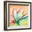 Tropical Splendor II-Patricia Pinto-Framed Art Print