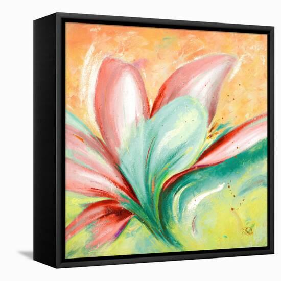 Tropical Splendor II-Patricia Pinto-Framed Stretched Canvas