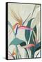 Tropical Splendor-Jacob Q-Framed Stretched Canvas