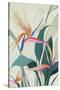 Tropical Splendor-Jacob Q-Stretched Canvas