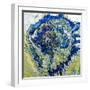 Tropical Storm II-Roberto Gonzalez-Framed Art Print