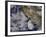 Tropical Storm Miriam Off the Coast of Baja California-null-Framed Photographic Print