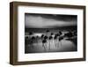 Tropical Storm-Rob Darby-Framed Photographic Print