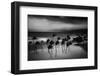 Tropical Storm-Rob Darby-Framed Photographic Print