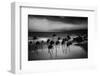 Tropical Storm-Rob Darby-Framed Photographic Print