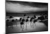 Tropical Storm-Rob Darby-Mounted Photographic Print